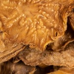 2斤肉苁蓉（套餐二）