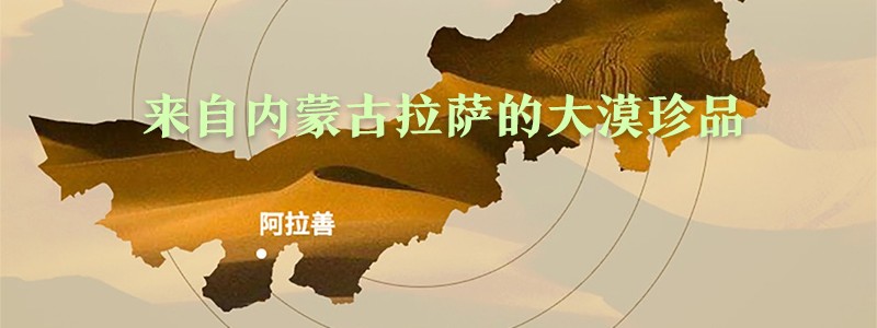 肉苁蓉百科