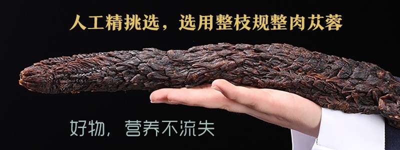 肉苁蓉问答