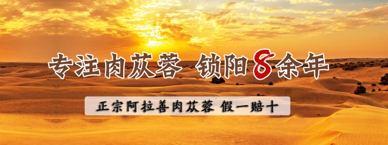 联系我们